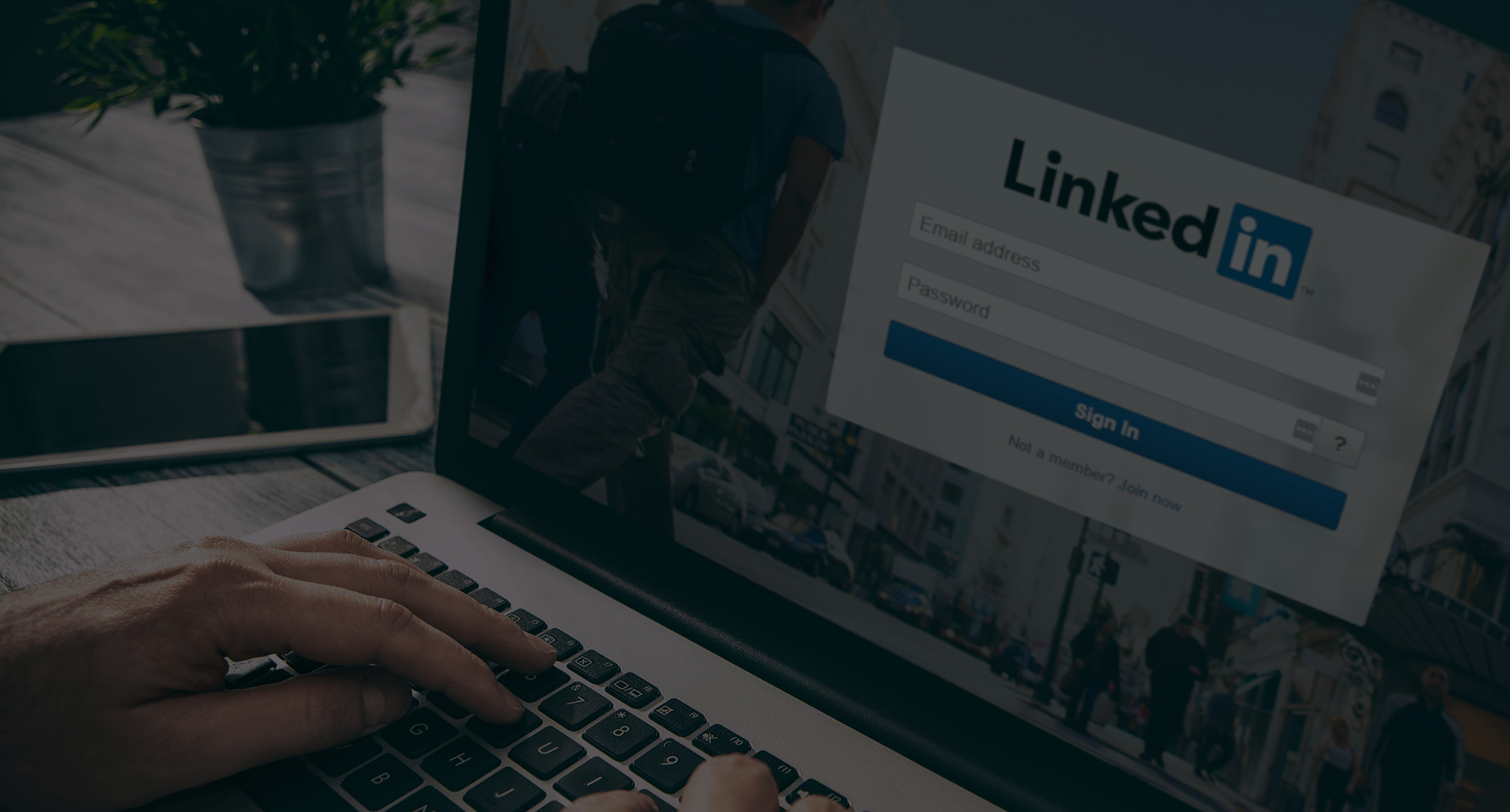 About Us - Peak Profile